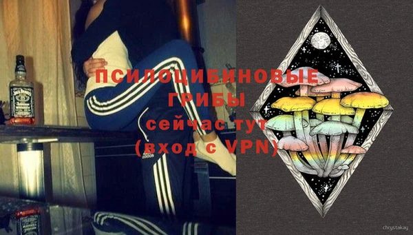 не бодяженный Алексин