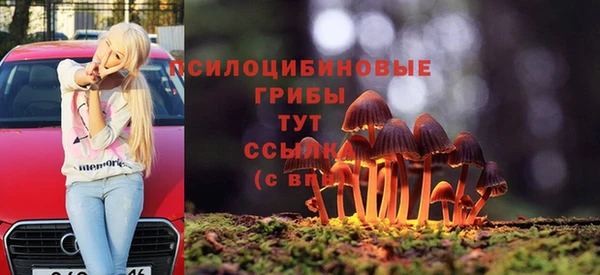 трава Алзамай